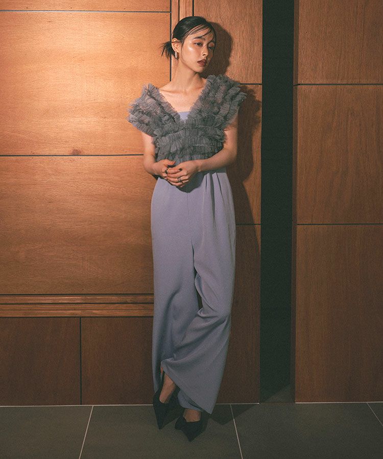 【値下げ】ANDRESD tulle vest all in one dress セール】tulle vest all in one dress / チュールベスト