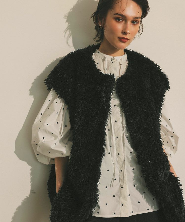 テディファーベスト